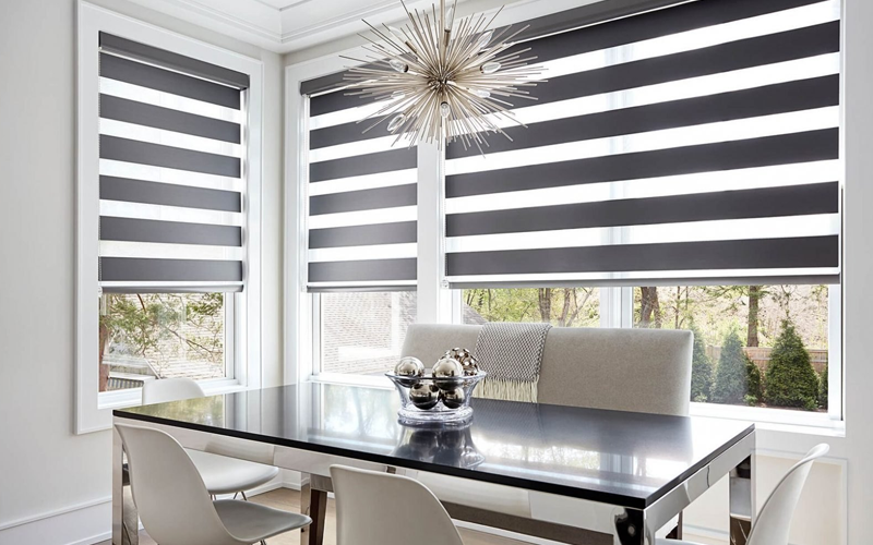 Best Zebra Blinds Manufacturers In Delhi